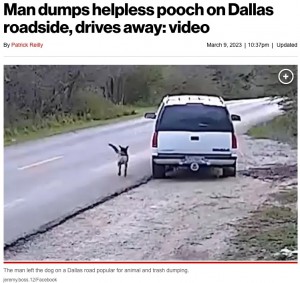 米テキサス州で今年3月、飼い犬を捨てる男の姿を監視カメラが捉えた。男は動物虐待および遺棄によるA級軽犯罪の容疑で逮捕された（『New York Post　「Man dumps helpless pooch on Dallas roadside, drives away: video」（jeremy.boss.12/Facebook）』より）