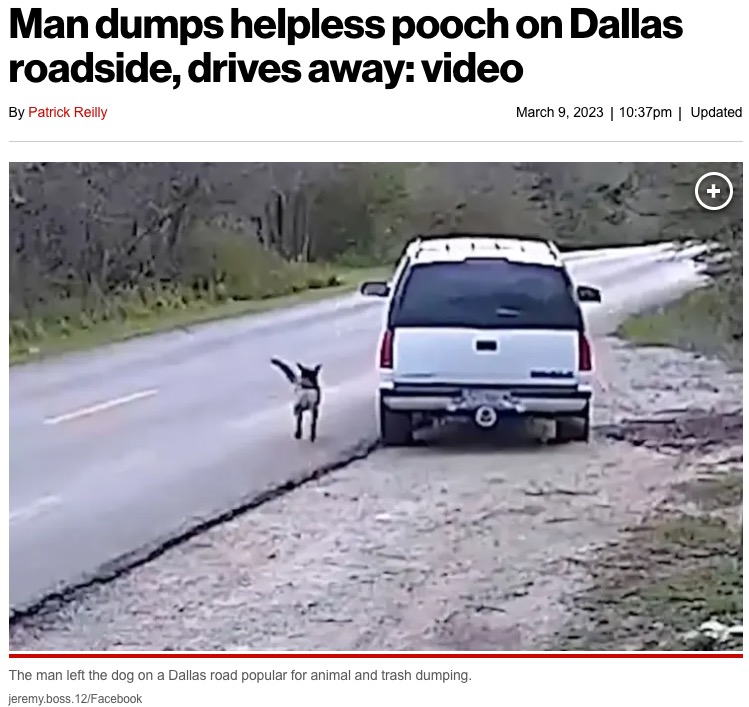 米テキサス州で今年3月、飼い犬を捨てる男の姿を監視カメラが捉えた。男は動物虐待および遺棄によるA級軽犯罪の容疑で逮捕された（『New York Post　「Man dumps helpless pooch on Dallas roadside, drives away: video」（jeremy.boss.12/Facebook）』より）