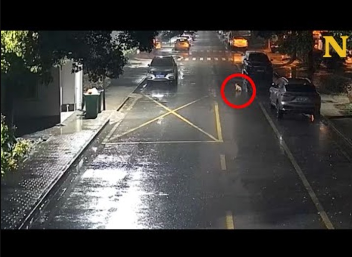 中国東部江蘇省無錫市江陰市で先月27日午後10時半頃、暗い雨の路上をハイハイする生後6か月の男児の姿を監視カメラが捉えていた（『Newsnercom　YouTube「6-month-old baby found crawling on a busy road」』より）
