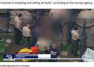 米カリフォルニア州で今年2月、35歳の男性が自宅裏庭で飼い犬に襲われ死亡した。当局は裏庭にいたピットブル13頭を捕獲しており、男性はブリーダーをしていたようだった（『FOX 11 Los Angeles　「Authorities identify Compton pit bull breeder mauled to death by his own dogs」』より）