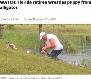 米フロリダ州で2020年11月、愛犬と散歩していた70代男性。ワニによって愛犬が池に引きずり込まれ、レスリングさながらにワニと格闘した（『WPEC CBS 12　「WATCH: Florida retiree wrestles puppy from jaws of alligator」（CNN）』より）