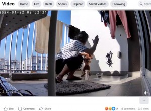 シンガポールに住む動物愛護家が今年2月、Facebookに友人宅の監視カメラの映像を投稿。動画には、女のヘルパーが友人の愛犬を虐待する様子が映し出されていた（『Tan Derrick　Facebook「Trigger Warning」』より）
