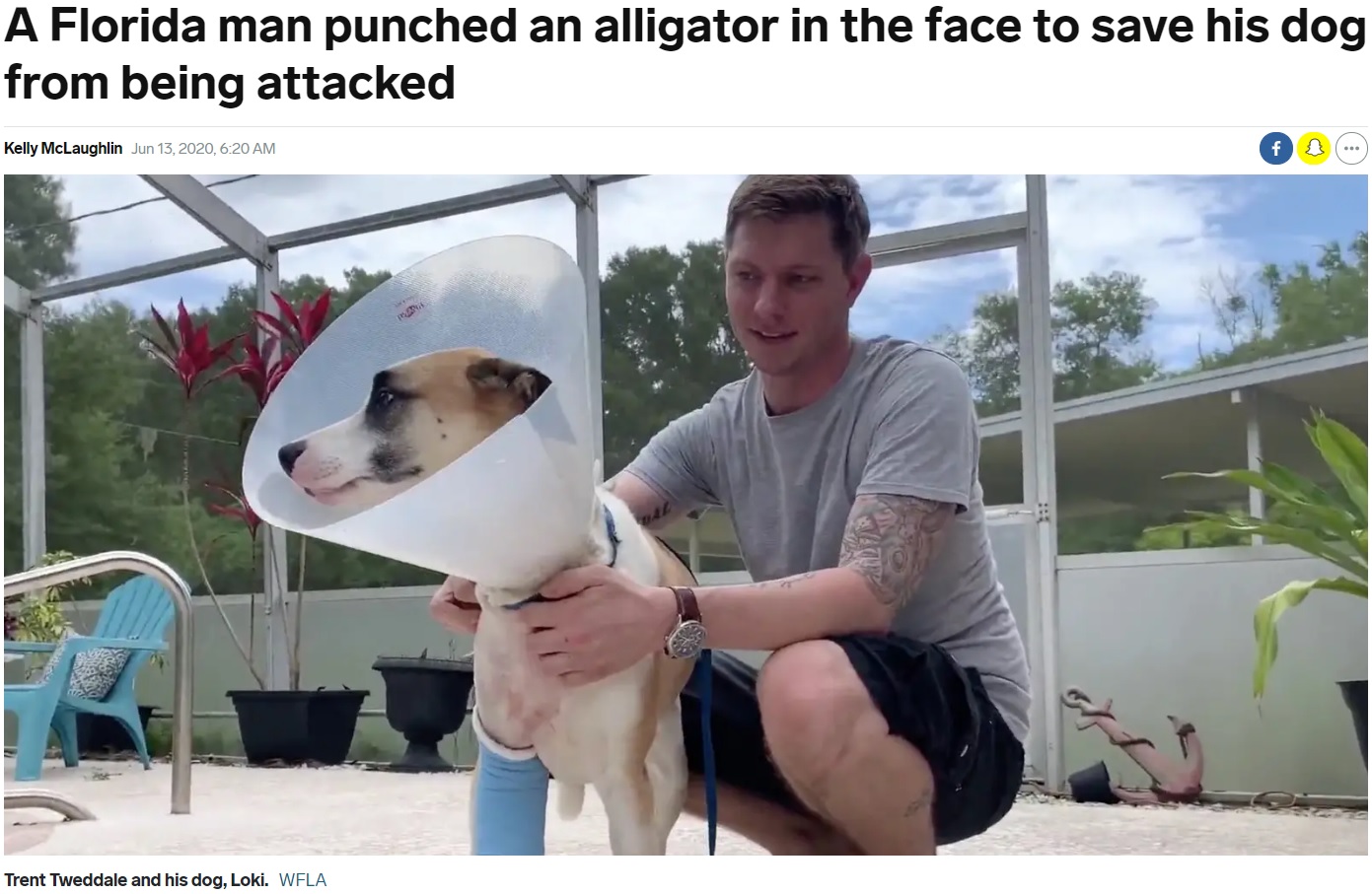 米フロリダ州の川で2020年6月、愛犬が突如現れたワニに襲われた。飼い主の男性はワニと格闘、川で綱引き状態になるも無事に愛犬を救出していた（『Insider　「A Florida man punched an alligator in the face to save his dog from being attacked」（WFLA）』より）