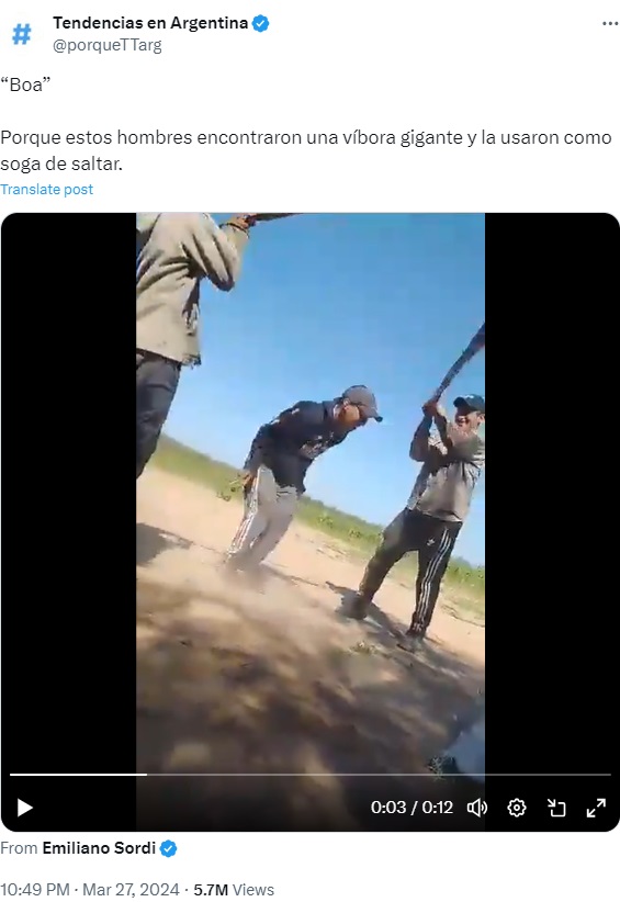 アルゼンチンで最近、大蛇で縄跳びを楽しむ男たちの姿が捉えられた。動画の大蛇は口を大きく開けて喘いでいるように見え、「虐待」「悪魔だ」といった声が寄せられた（『Tendencias en Argentina　X「“Boa”」』より）