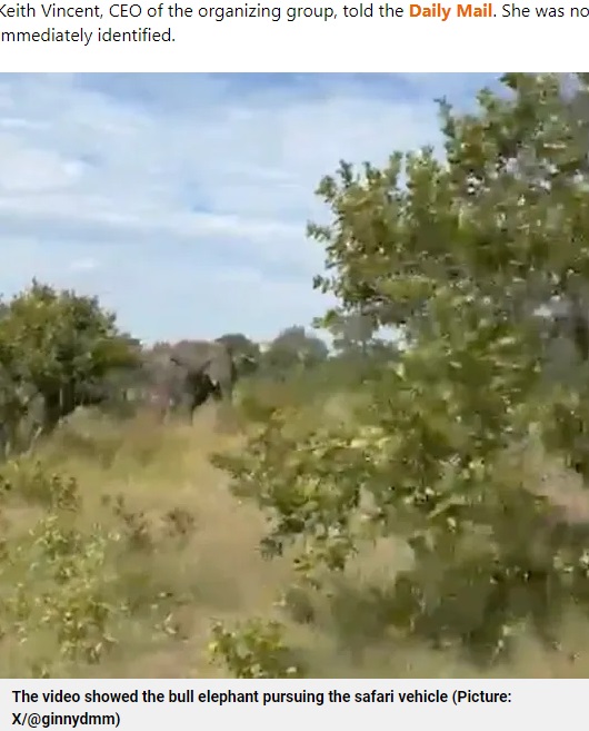 ザンビアのカフエ国立公園でサファリカーを追う雄ゾウ。この後、停止した車両を襲って横転させ、80歳のアメリカ人女性が死亡した（『Metro.co.uk　「Terrifying moment elephant charges at tourists as safari truck driver suddenly stops」（Picture: X/＠ginnydmm）』より）