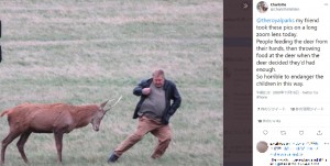 2020年11月、英ロンドンの公園で数人が野生の鹿に近づく姿が撮影された。近すぎる距離に驚いた鹿が1人の男性に角を向け襲う素振りを見せると、男性は走って逃げていた（『Charlotte　X「＠theroyalparks my friend took these pics on a long zoom lens today.」』より）