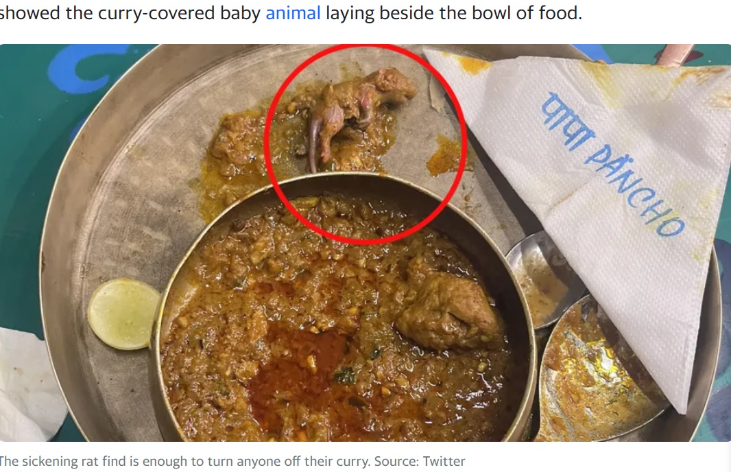 インドにある人気レストランのシェフ2人とマネージャーが2023年8月、警察に逮捕された。前日に提供した食事の中に死んだ赤ちゃんネズミが紛れ込んでいたためで、Xに問題のチキンカレーの写真が投稿されると大きな反響を呼んだ（『Yahoo News Australia　「Stomach-churning find in restaurant meal prompts man to call the police」（Source: Twitter）』より）
