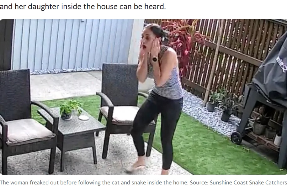 豪クイーンズランド州の一軒家の裏庭で、ニシキヘビに猫が噛まれるのを見て絶叫する飼い主の女性。当時の様子は監視カメラが捉えていた（『Yahoo Australia　「‘Insane’ moment snake grabs pet cat in Aussie woman’s backyard caught on camera」』より）