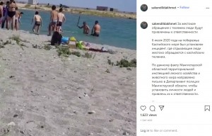 カザフスタンで2020年7月、浅瀬にやってきた1頭のカスピカイアザラシが、観光客とみられる大人たち数人に長い棒で叩かれていた（『Saken Dildakhmet　Instagram「За жестокое обращение с тюленем люди будут привлечены к ответственности」』より）