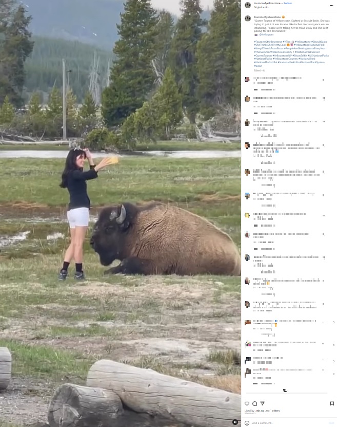 2023年、米イエローストーン国立公園のバイソンのすぐそばで自撮りする女性。バイソンがいかに危険か全く理解していない様子で「愚かな観光客の女王」と揶揄された（『TouronsOfYellowstone　Instagram「Queen Touron of Yellowstone.」』より）