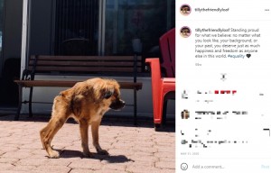 2019年6月、チベタンスパニエルのミックス犬を引き取った女性。「短脊椎症候群」を抱えており「余命3～5か月」と医師に告げられるも、2021年に2歳を迎えていた（『Tilly　Instagram「Standing proud for what we believe:」』より）