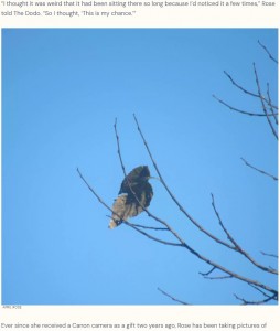 米ジョージア州在住でバードウォッチングが好きな女性が2021年に撮影した写真。高い木の枝にいる鳥かと思いきや、「落ちてしまいそうな枯れ葉」だった（『The Dodo　「Woman Takes A Picture Of An ‘Awesome Bird’ Then Realizes He’s Not What He Seems」（APRIL ROSE）』より）