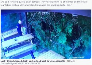 ウェールズのパブで2021年11月、営業を終了し片付けていた店主の目の前で強風に煽られた大木が倒れる。店主はちょうどタバコ休憩でその場を離れており、無事だった（『Mirror　「Pub owner narrowly misses death as tree collapses while she smoked outside」（Image: TheStarBridgend/WALES NEWS SERVICE）』より）