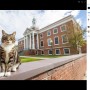 【海外発！Breaking News】看板猫に学位の授与　大学のユニークな対応に「猫に学位を抜かされた」と笑いの声（米）