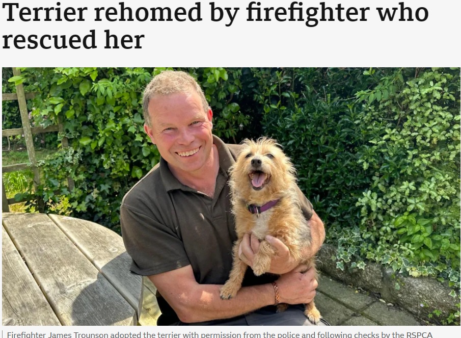 火災現場で亡くなった飼い主のそばを離れなかった犬。消防隊員が時間をかけて、犬を外に連れ出したという（『BBC　「Terrier rehomed by firefighter who rescued her」』より）