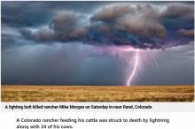 【海外発！Breaking News】牧場に雷直撃、51歳男性と牛34頭が死亡「これまで見てきた中で最悪のケース」（米）