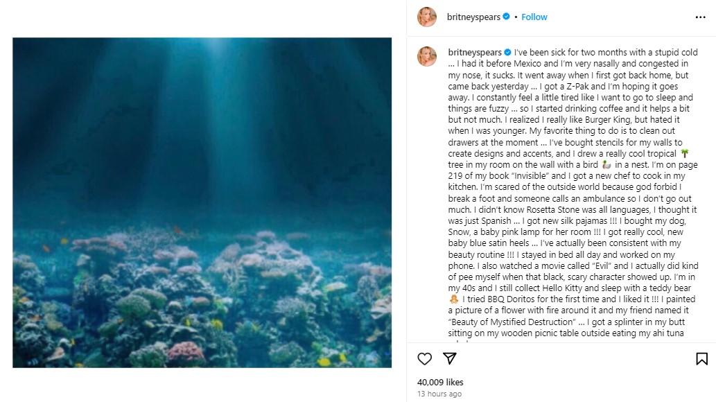 海の写真を公開し、長文のメッセージを記したブリトニー。「悪い風邪をひいて、ここ2か月気分が優れない」と明かした（『XILA MARIA RIVER RED　Instagram「I’ve been sick for two months with a stupid cold …」』より）