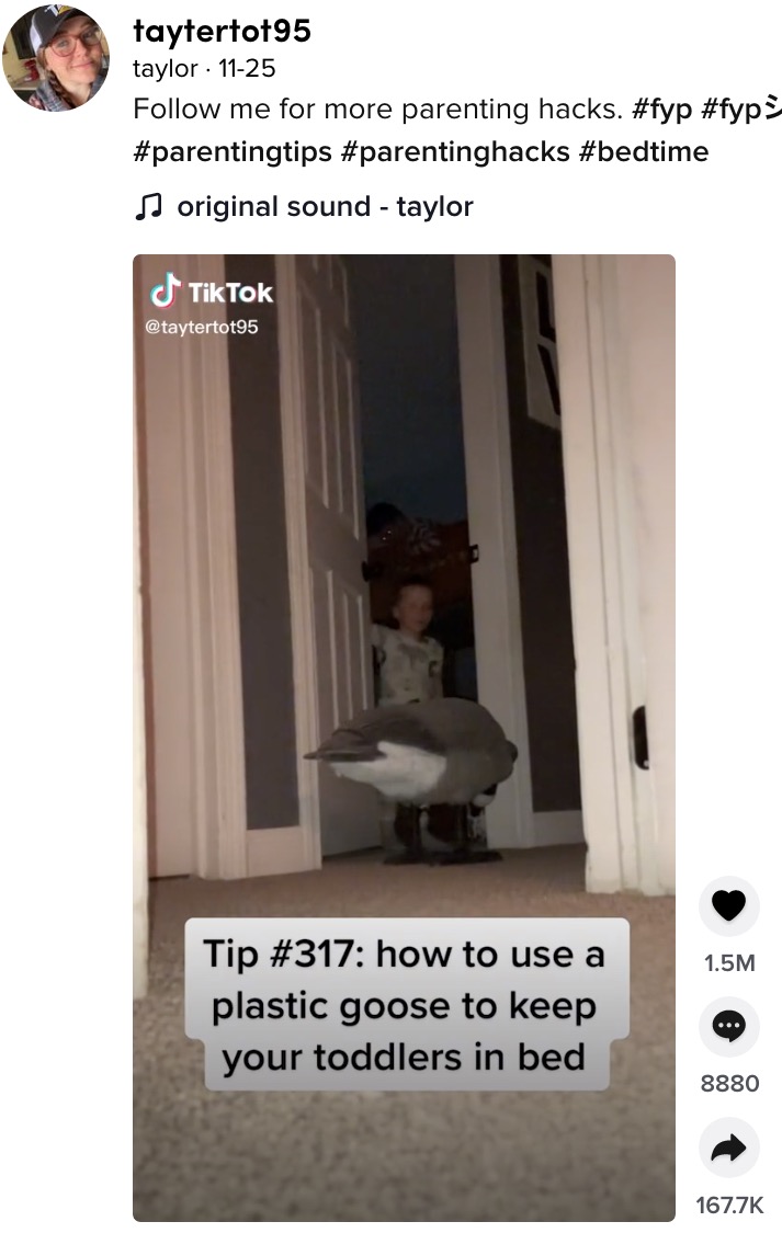 TikTokユーザーの女性が2021年11月に投稿した動画が話題に。女性は夜中にベッドから抜け出す幼い息子に対処するため、部屋の外に大きなプラスチック製のガチョウを置いていた（『taylor　TikTok「Follow me for more parenting hacks.」』より）