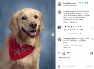 米オハイオ州の中学校で「ファシリティドッグ」として活躍する犬。2022年、学校の1年の総まとめであるイヤーブックに掲載されていた（『Meg- Goshen’s Facility Dog!　Instagram「Results are in!!!」』より）
