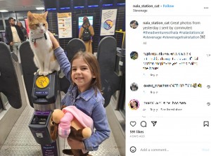 2023年、イギリスのある駅の改札で通勤客を待ち望む1匹の猫が話題に。改札機の上に座り込み、そこを通る人から撫でてもらうのを待っていた（『Nala　Instagram「Great photos from yesterday」』より）