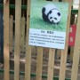 【海外発！Breaking News】中国の動物園、集客のためチャウチャウを染め“パンダ犬”にして物議＜動画あり＞