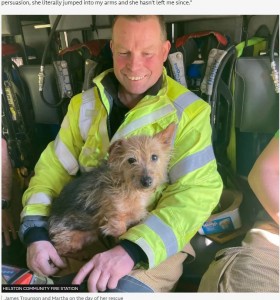 救出されたマーサの引き取り先がないと知ったジェームズさんは、愛犬の遊び相手としてマーサを家族として迎え入れることにした（『BBC　「Terrier rehomed by firefighter who rescued her」（HELSTON COMMUNITY FIRE STATION）』）