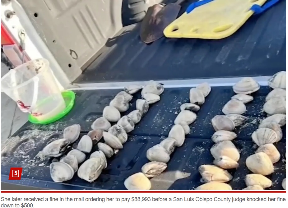 子どもたちは生きているハマグリを集めてしまい、一日10個までという規制を超え、5人で72個も採っていた（『New York Post　「Mom fined ＄88K after kids collect 72 clams from California beach thinking they were seashells: ‘Ruined our trip’」（KFSN-TV）』）