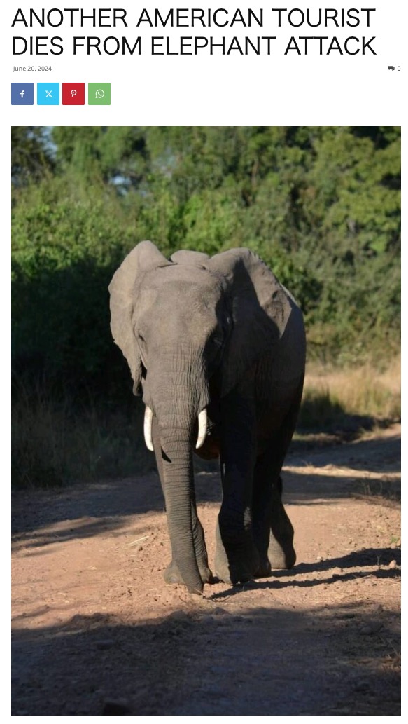 現地時間19日、アメリカ人観光客が野生のゾウに襲われて死亡。ザンビアでは今年3月にもアメリカ人女性がゾウの襲撃で死亡していた（『The Zambian Observer　「ANOTHER AMERICAN TOURIST DIES FROM ELEPHANT ATTACK」』より）