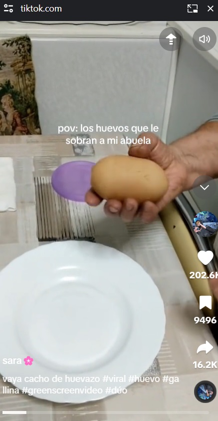 ジャガイモのような大きめの卵。おばあちゃんが割ってみると、思わぬサプライズが待っていた（『sara　TikTok「vaya cacho de huevazo」』より）