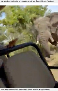 ザンビアのカフエ国立公園で今年3月、6人の観光客を乗せた車両が体重5トンほどの雄ゾウに猛襲される。80歳のアメリカ人女性が死亡した（『Metro.co.uk　「Terrifying moment elephant charges at tourists as safari truck driver suddenly stops」（Picture: X/＠ginnydmm）』より）