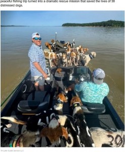 キツネ狩りのイベントに参加していた犬たちは、シカを追いかけて湖に入ってしまい、そのまま戻る方向が分からなくなったようだ（『Sunny Skyz　「Fishermen Save 38 Dogs From Drowning In Mississippi’s Grenada Lake」（Tri-Lake Guide Service LLC）』より）