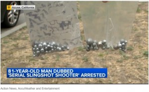 プリンスの自宅から金属球やパチンコが複数見つかり逮捕されたことで、約10年にわたる迷惑行為に終止符が打たれた（『6abc Action News　「81-year-old man dubbed ‘serial slingslot shooter’ arrested for terrorizing California neighborhood」』より）