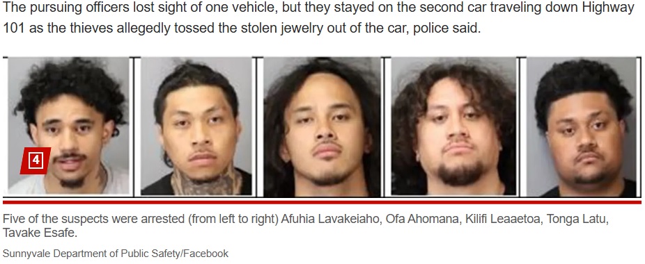約20人が今回の強盗に携わったと考えられているが、逮捕されたのは5人のみだった。警察は現在も捜査を行っている（『New York Post　「Shocking video shows moment gang of thieves smash into California jewelry store」（Sunnyvale Department of Public Safety/Facebook）』より）