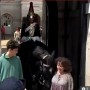 【海外発！Breaking News】近衛兵の馬に近づきすぎた女性　小突かれて飛ばされ、石畳に顔面ダイブ（英）＜動画あり＞