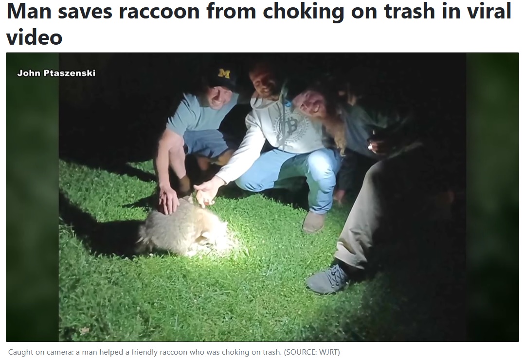 米ミシガン州の自宅庭で、友人同士とともに焚き火を囲んでいた男性。楽しい時間を過ごしていると、野生のアライグマが現れた（『WCAX　「Man saves raccoon from choking on trash in viral video」（SOURCE: WJRT）』より）