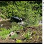【海外発！Breaking News】渓谷に転落した飼い主の車から脱出した犬、6キロ超を走り助けを呼ぶ（米）