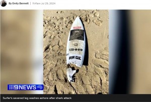 全長3メートルのホホジロザメに背後から襲われた時、カイさんが乗っていたサーフボード。右脚を噛みちぎられながらも、岸までなんとか辿り着いていた（『9News　「‘Something missing?’: Surfer attacked by shark shares joke in social post」』より）