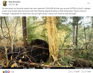 寝転がったまま、お腹に力を入れるような体勢となったクマは、大きな音とともにオナラをすると、スッキリしたのか再び眠り始めた（『Bob Etzweiler　Facebook「Far and away my favorite recent trail cam capture!!!」』より）