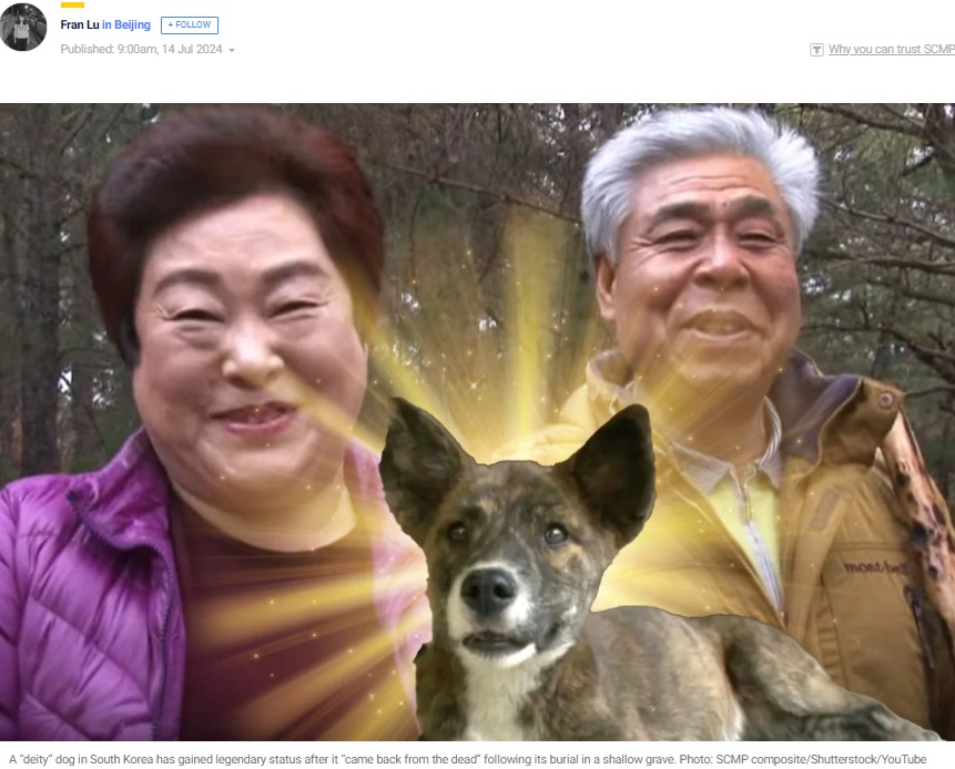 今から7年前、トラックに轢かれて隣人に埋葬された犬と飼い主夫婦。死んだと思われたが、墓から這い出し“奇跡”の回復を果たした（『South China Morning Post　「Meet South Korea’s ‘miracle’ dog that rose from grave after being hit by a truck」（Photo: SCMP composite/Shutterstock/YouTube）』より）