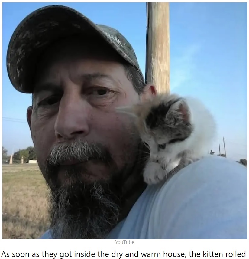 子猫はシーバと名前がつけられ、モニカさんの兄弟が飼うことになった（『My Positive Outlooks　「Tiny dog out for potty break finds abandoned kitten on the street and leads it home to take shelter」（YouTube）』より）