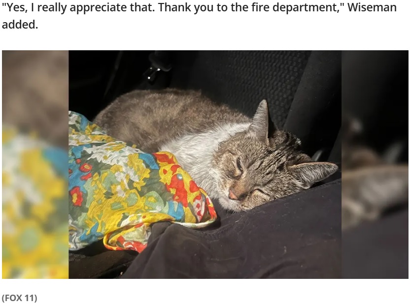 煙を多く吸ってしまったチーター。のちに動物病院の救急外来に運ばれて治療を受け、現在は自宅で療養している（『FOX 11 Los Angeles　「LA firefighters rescue cat from burning home in Tarzana」（FOX 11）』より）