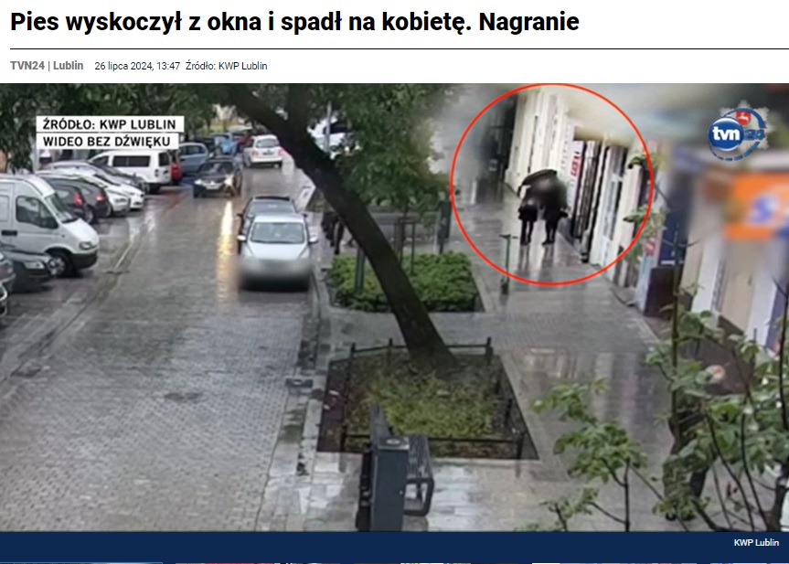 ポーランド東部ルブリンで7月25日、雨が降る中、傘をさして歩く2人。この直後、向かって左側の女性に悲劇が起きた（『TVN24　「Pies wyskoczył z okna i spadł na kobietę. Nagranie」』より）