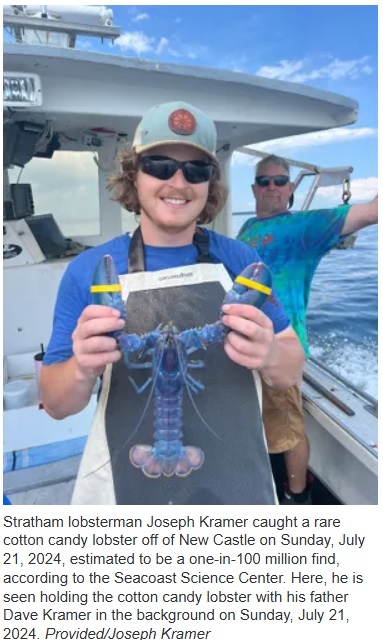 高校生の頃からロブスター漁に携わってきたジョセフさん（25）。今年の夏に初めて独立し、珍しいロブスターを捕獲した（『Seacoastonline.com　「‘Cotton candy’ colored lobster caught off New Castle is 1 in 100 million」（Provided/Joseph Kramer）』より）