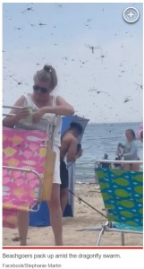 トンボの群れは数分でビーチを通過し戻ってくることはなかったが、人々の約半数は荷物をまとめてビーチを後にしたという（『New York Post　「Supersize swarm of dragonflies overwhelms Rhode Island beach in creepy clip」（Facebook/Stephanie Martin）』より）
