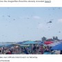 【海外発！Breaking News】ビーチに現れたトンボの大群　おびただしい数に悲鳴（米）＜動画あり＞