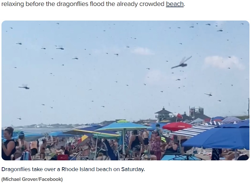 米ロードアイランド州のビーチで海水浴や日光浴を楽しんでいた人々。突然トンボの群れがやって来て、人々の顔や足の間を飛び回り始めた（『FOX Weather　「Watch: Dragonflies swarm Rhode Island beach」（Michael Grover/Facebook）』より）
