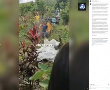 【海外発！Breaking News】森に牛を連れて出かけた74歳女性、ヘビに襲われ死亡　インドネシア・スラウェシ島で3か月連続の悲劇