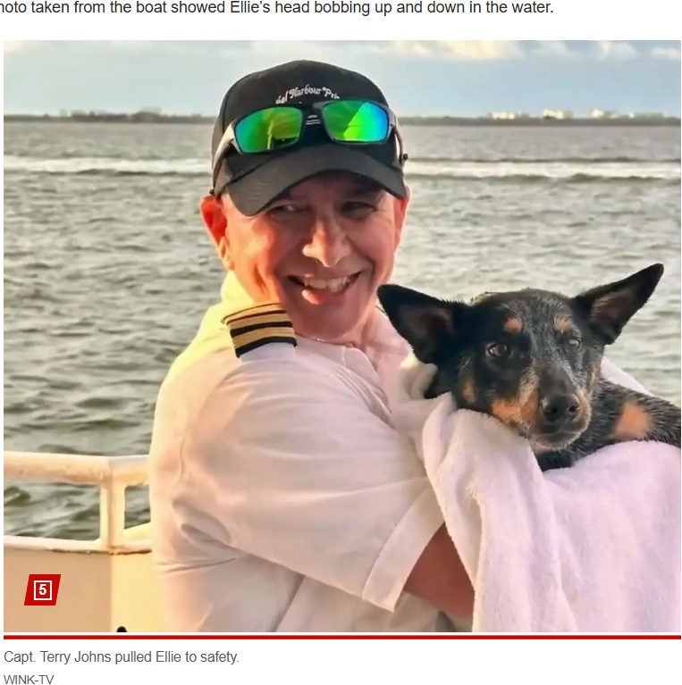 犬が海で泳いでいることを知った船長のテリーさんが、すぐに船を停止させて犬を救助した（『New York Post　「Pooch lost at sea for an hour is found dog paddling for her life more than a mile offshore」（WINK-TV）』より）