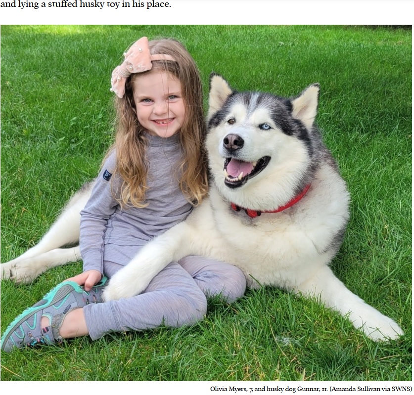 2年前に近所のハスキー犬と出会い、仲良しになった7歳少女。先日、ハスキー犬を自分の犬にするため、ある計画を実行した（『Talker　「Girl borrows neighbor’s dog and replaces him with stuffed toy dog」（Amanda Sullivan via SWNS）』より）