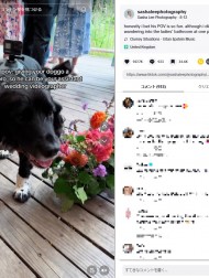 【海外発！Breaking News】結婚式で動画撮影係を任された犬　「最高のアイディア！」と話題に（英）＜動画あり＞